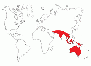 Mapa de origen del “Picudo Rojo”